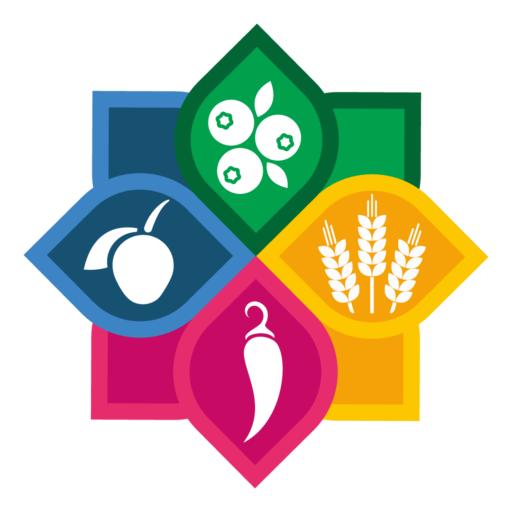 Abigail Almeida-Técnicas de redacción digital