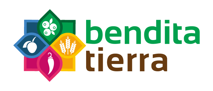 Abigail Almeida-Técnicas de redacción digital